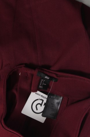 Sukňa H&M, Veľkosť S, Farba Ružová, Cena  9,72 €