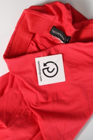 Φούστα Terranova, Μέγεθος S, Χρώμα Κόκκινο, Τιμή 5,25 €