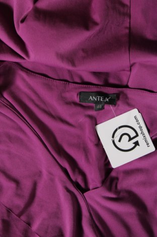 Φόρεμα Antea, Μέγεθος M, Χρώμα Βιολετί, Τιμή 17,94 €