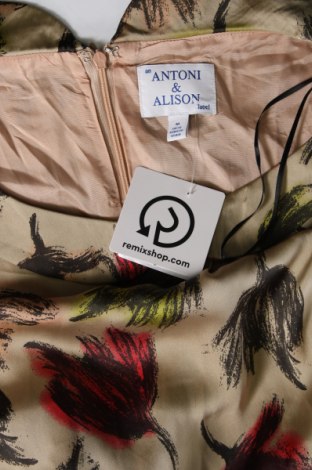 Kleid Antoni&Alison, Größe M, Farbe Mehrfarbig, Preis € 18,61