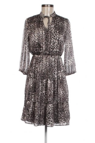 Φόρεμα Bel&Bo, Μέγεθος XS, Χρώμα Πολύχρωμο, Τιμή 10,76 €