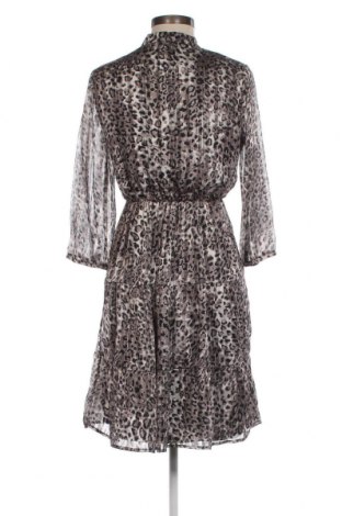 Φόρεμα Bel&Bo, Μέγεθος XS, Χρώμα Πολύχρωμο, Τιμή 10,76 €