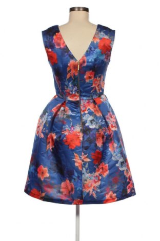 Kleid Closet London, Größe M, Farbe Mehrfarbig, Preis € 76,41