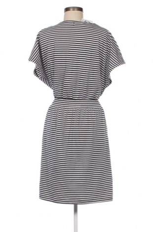 Kleid Essentials by Tchibo, Größe XL, Farbe Mehrfarbig, Preis 14,83 €