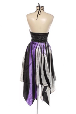 Kleid Goddess London, Größe S, Farbe Mehrfarbig, Preis 50,11 €
