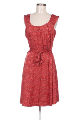 Kleid Lola Liza, Größe L, Farbe Mehrfarbig, Preis 20,04 €