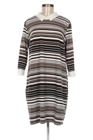 Kleid M&Co., Größe XL, Farbe Mehrfarbig, Preis € 14,83