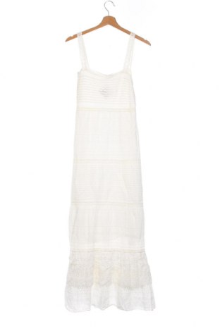 Kleid Massimo Dutti, Größe S, Farbe Ecru, Preis 76,32 €