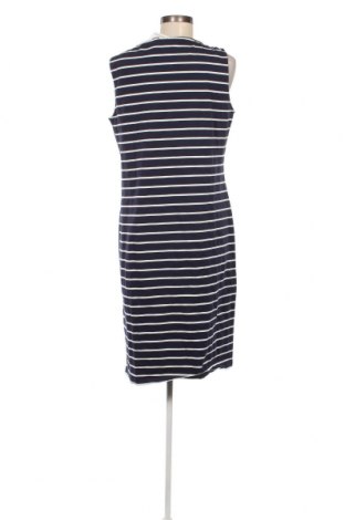 Φόρεμα Nora, Μέγεθος XL, Χρώμα Μπλέ, Τιμή 13,75 €