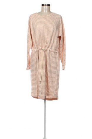 Φόρεμα Nosh, Μέγεθος XL, Χρώμα  Μπέζ, Τιμή 40,07 €