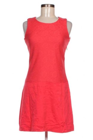 Kleid PTC, Größe S, Farbe Rosa, Preis € 13,36