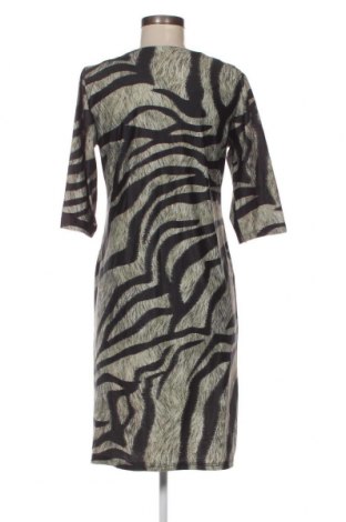 Kleid Pescara, Größe M, Farbe Grün, Preis 7,47 €
