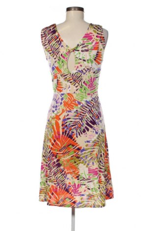 Kleid Sweet Miss, Größe XL, Farbe Mehrfarbig, Preis 20,18 €