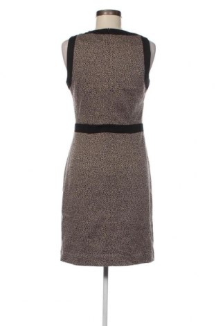 Kleid Tahari, Größe XS, Farbe Mehrfarbig, Preis € 22,25