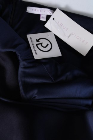 Šaty  True Violet, Veľkosť L, Farba Modrá, Cena  112,37 €