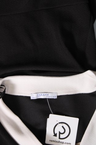 Šaty  Zara, Velikost S, Barva Černá, Cena  195,00 Kč