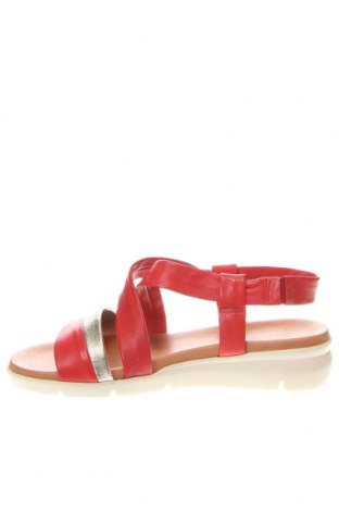 Sandalen Salamander, Größe 38, Farbe Rot, Preis € 54,94