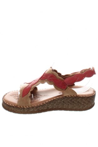 Sandalen Salamander, Größe 37, Farbe Braun, Preis 96,39 €