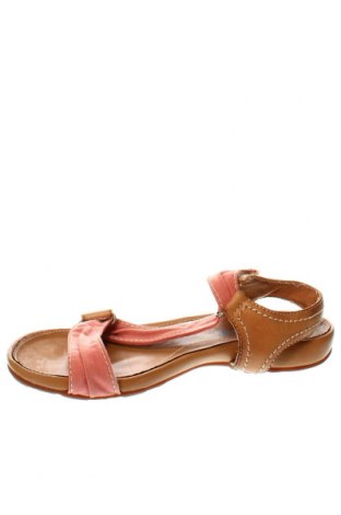 Sandále Timberland, Veľkosť 36, Farba Viacfarebná, Cena  43,89 €
