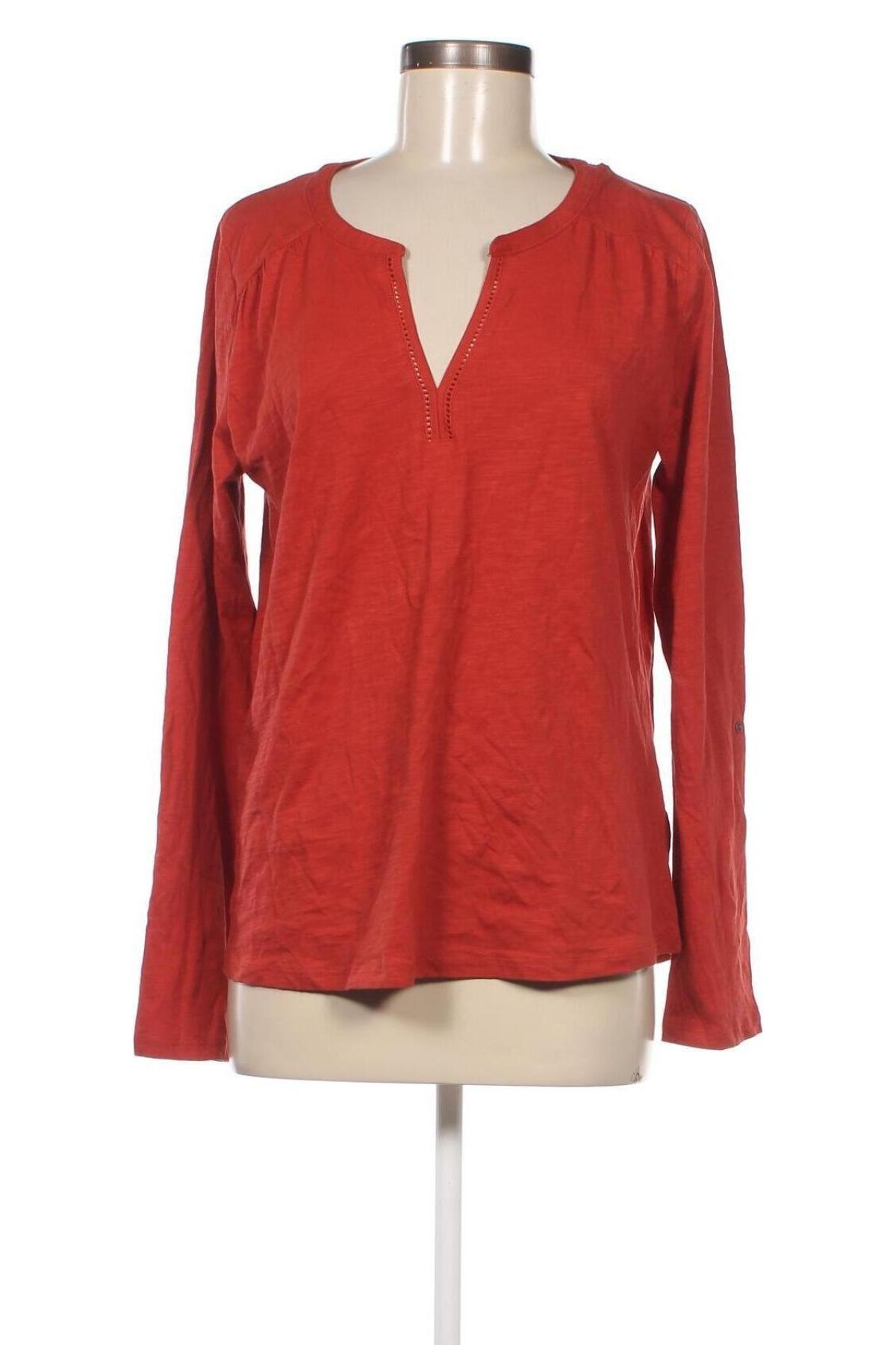 Γυναικεία μπλούζα Cache Cache, Μέγεθος XL, Χρώμα Καφέ, Τιμή 15,86 €