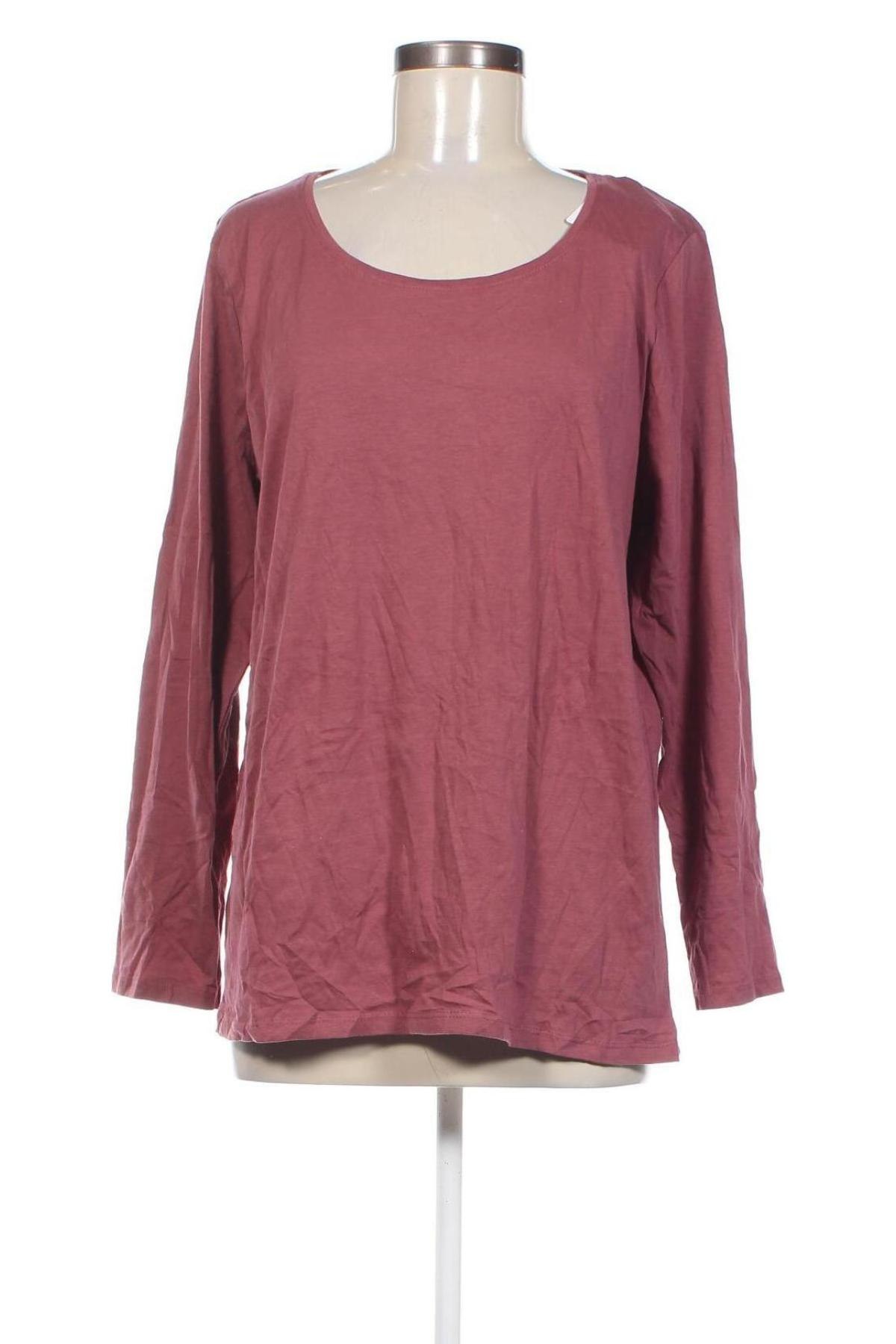 Γυναικεία μπλούζα In Extenso, Μέγεθος XL, Χρώμα Ρόζ , Τιμή 4,00 €