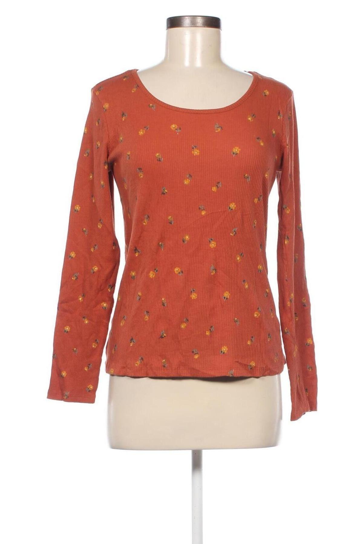 Γυναικεία μπλούζα Jean Pascale, Μέγεθος M, Χρώμα Καφέ, Τιμή 3,76 €