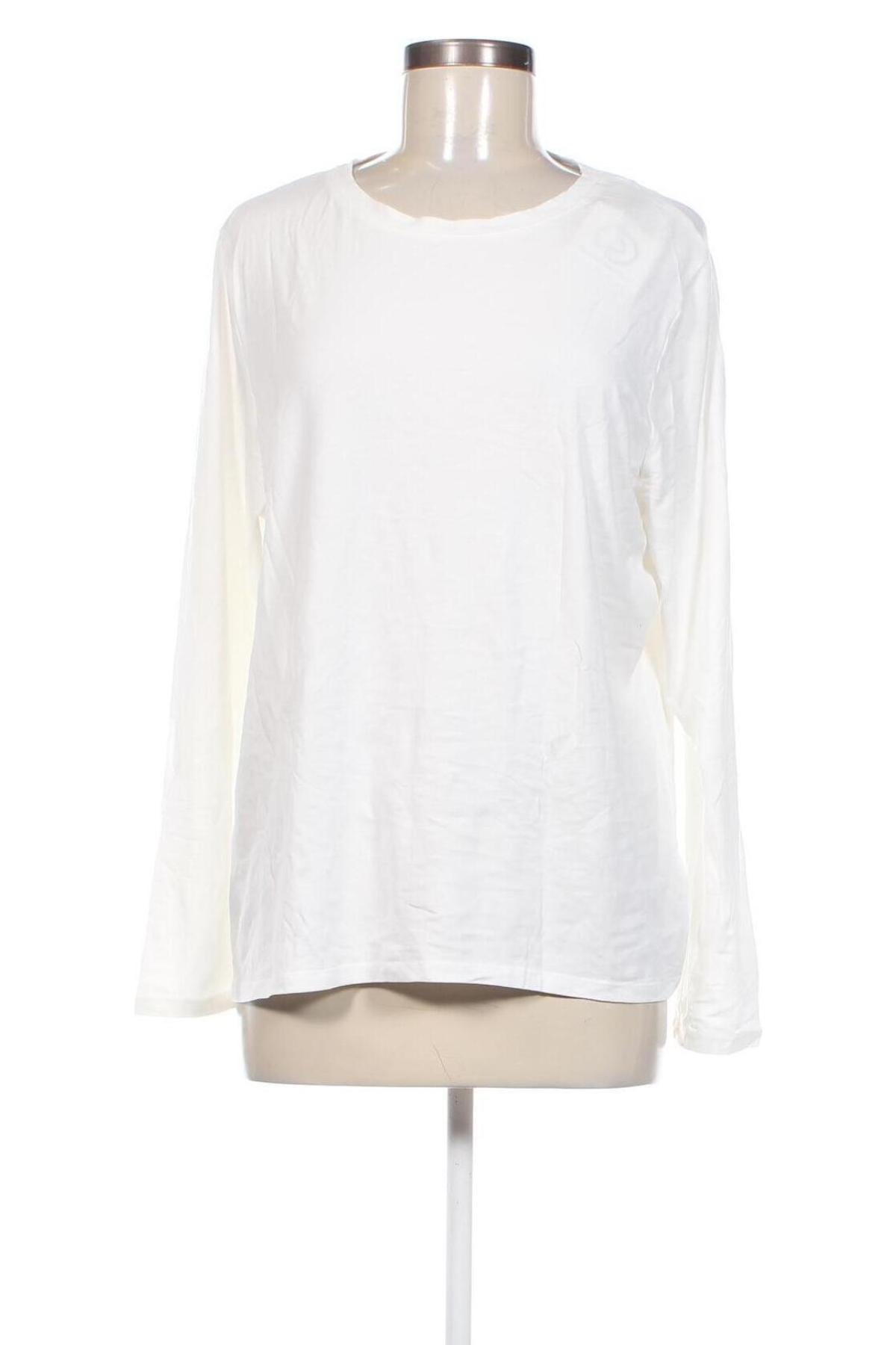 Γυναικεία μπλούζα M&Co., Μέγεθος XXL, Χρώμα Λευκό, Τιμή 11,75 €