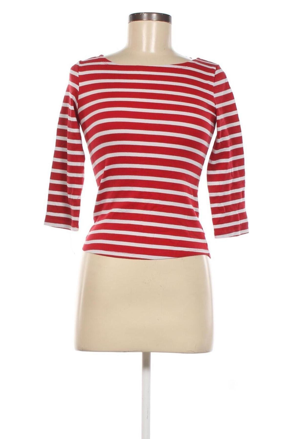 Γυναικεία μπλούζα Tex, Μέγεθος S, Χρώμα Πολύχρωμο, Τιμή 1,76 €
