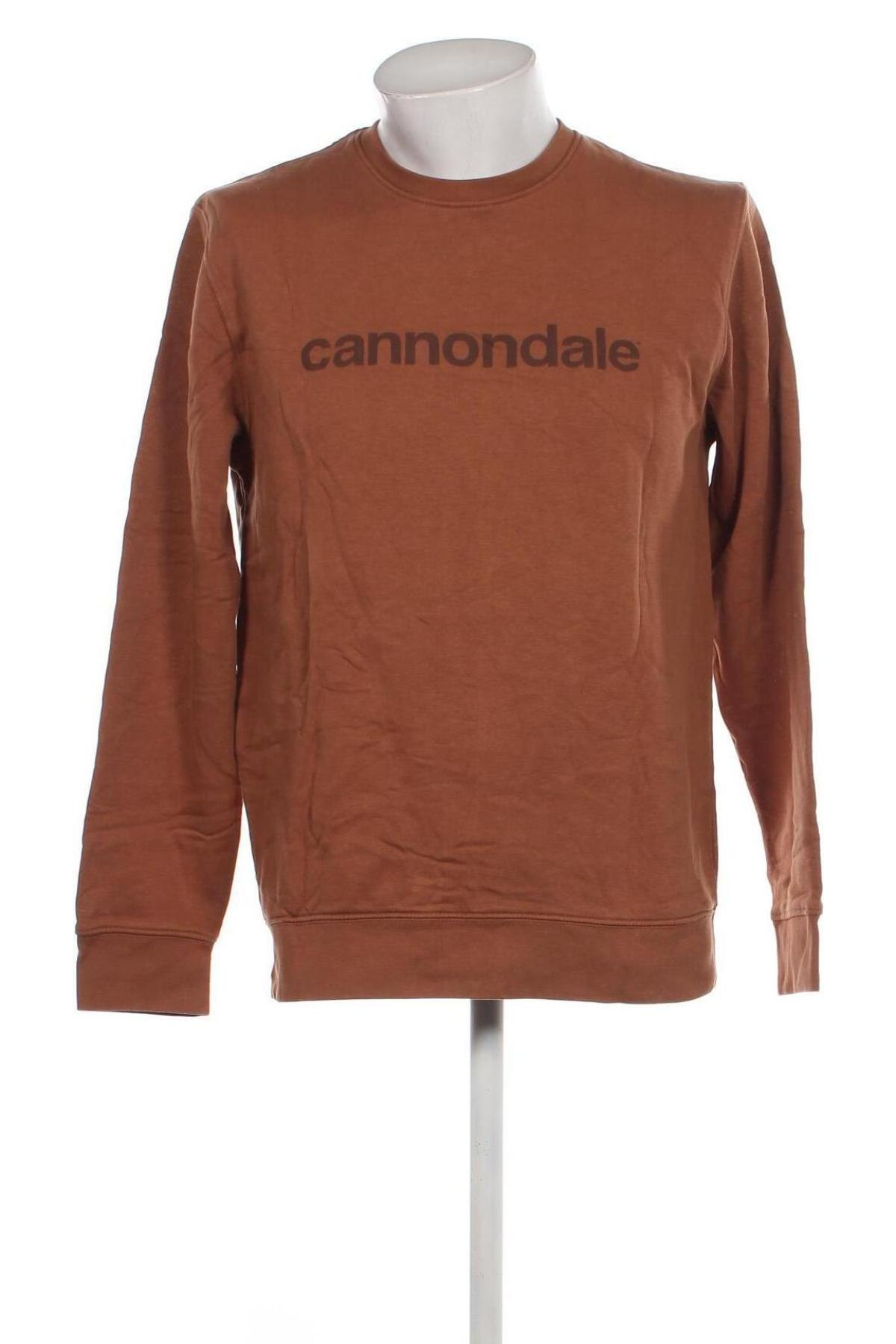 Ανδρική μπλούζα Cannondale, Μέγεθος L, Χρώμα Καφέ, Τιμή 11,75 €
