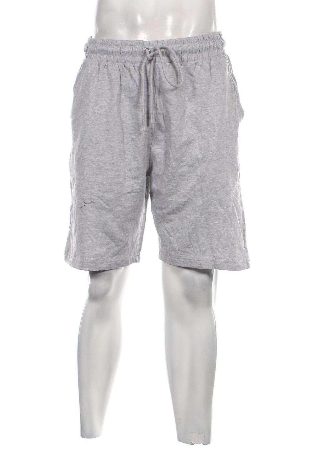 Ανδρικό κοντό παντελόνι, Μέγεθος XL, Χρώμα Γκρί, Τιμή 20,62 €