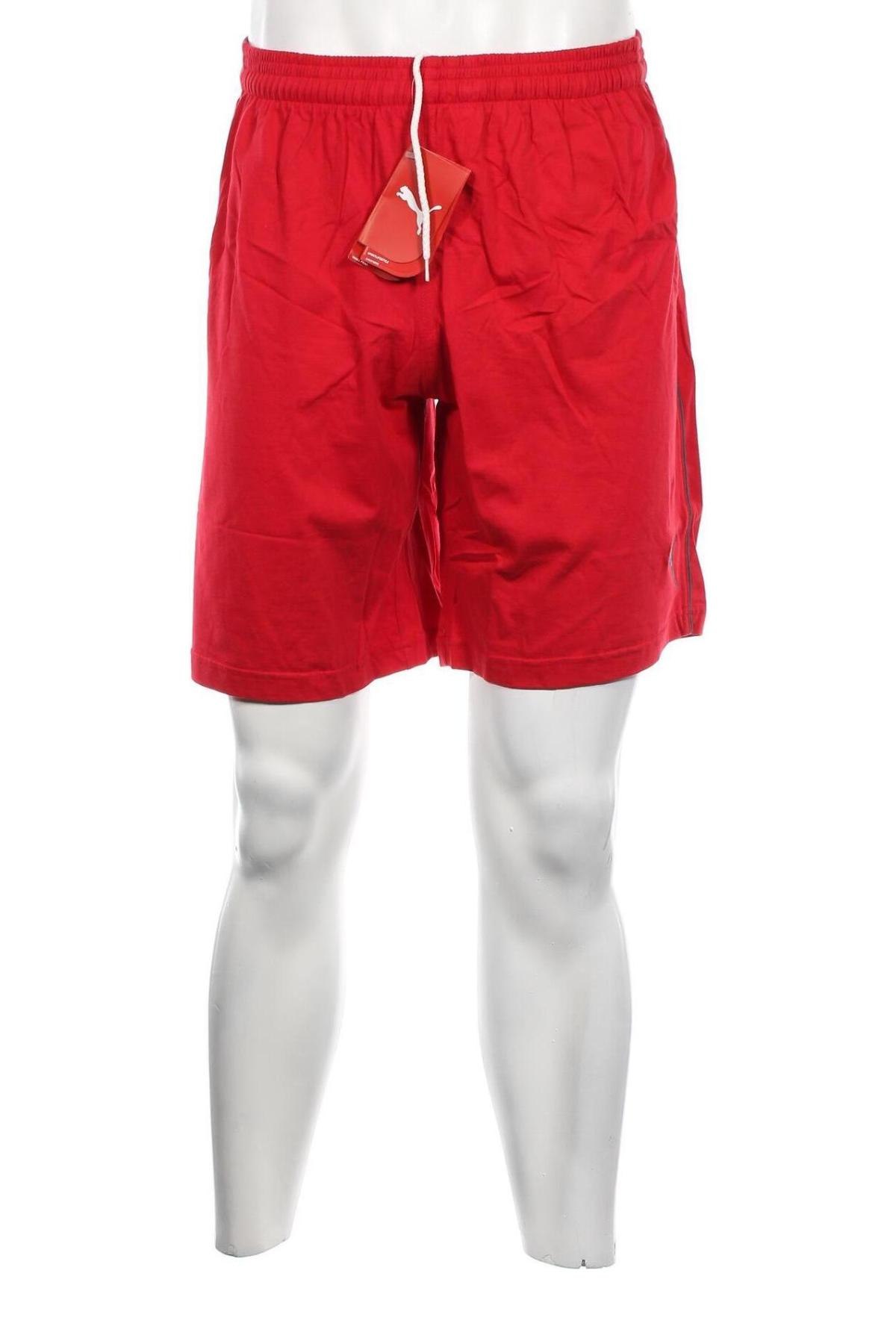 Herren Shorts PUMA, Größe XL, Farbe Rot, Preis 39,69 €