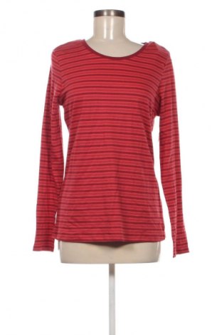 Damen Shirt Cherokee, Größe M, Farbe Mehrfarbig, Preis 21,99 €