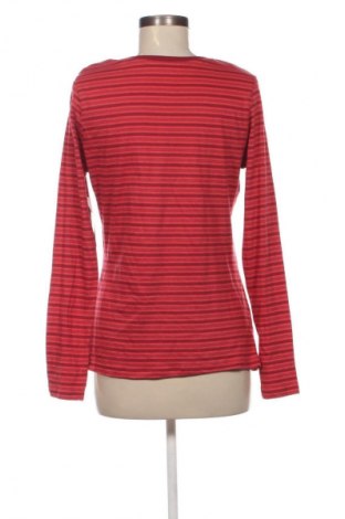Damen Shirt Cherokee, Größe M, Farbe Mehrfarbig, Preis 21,99 €
