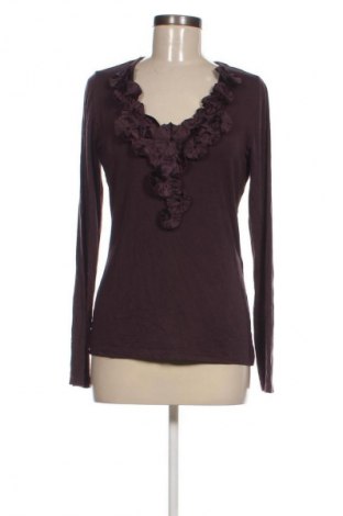 Damen Shirt Comma,, Größe M, Farbe Braun, Preis 33,99 €
