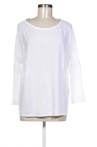 Damen Shirt Craghoppers, Größe L, Farbe Weiß, Preis € 24,99