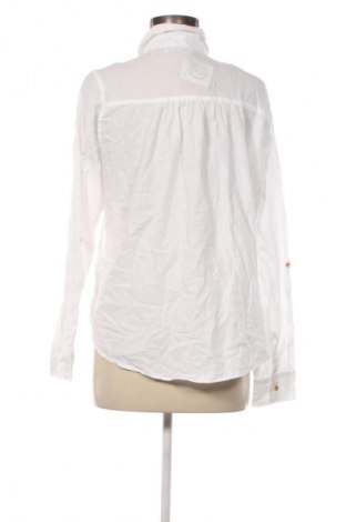 Damen Shirt Hollister, Größe M, Farbe Weiß, Preis € 23,99