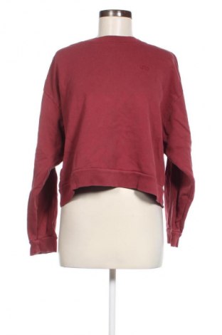 Damen Shirt Levi's, Größe S, Farbe Rot, Preis € 35,00