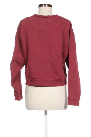 Damen Shirt Levi's, Größe S, Farbe Rot, Preis € 35,00