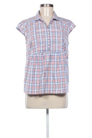 Bluzka damska Limited Collection, Rozmiar L, Kolor Kolorowy, Cena 43,26 zł