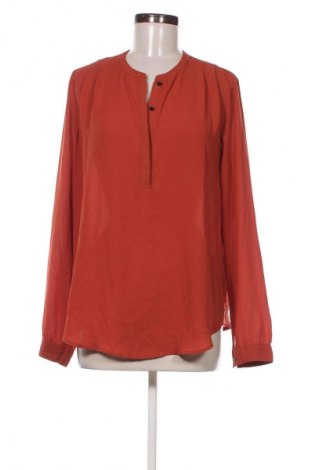 Damen Shirt Scotch & Soda, Größe M, Farbe Rot, Preis 46,99 €