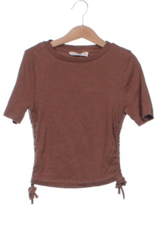 Damen Shirt Terranova, Größe XS, Farbe Braun, Preis € 8,99