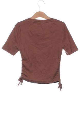 Damen Shirt Terranova, Größe XS, Farbe Braun, Preis € 8,99
