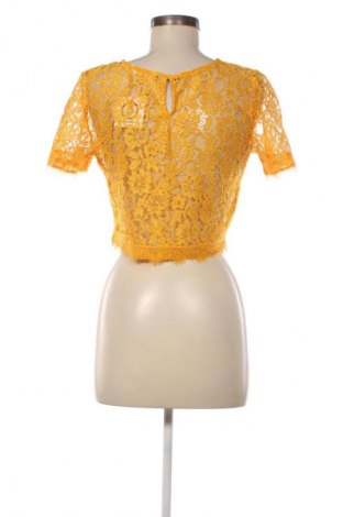 Damen Shirt Terranova, Größe M, Farbe Orange, Preis 9,99 €