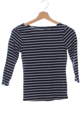 Damen Shirt Tex, Größe XS, Farbe Mehrfarbig, Preis 5,99 €