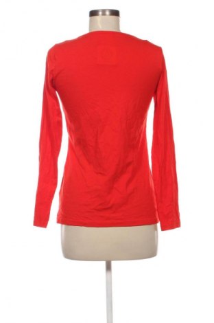 Damen Shirt Up 2 Fashion, Größe M, Farbe Rot, Preis 5,99 €