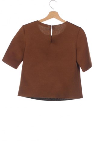 Damen Shirt Vayana, Größe XS, Farbe Braun, Preis 18,47 €