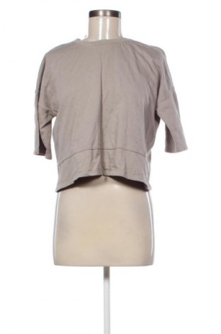 Damen Shirt Zara, Größe S, Farbe Braun, Preis 6,99 €