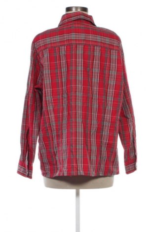 Damenbluse Ambria, Größe XL, Farbe Mehrfarbig, Preis € 9,99