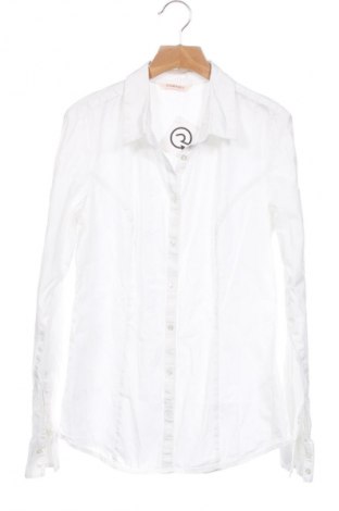 Damenbluse Camaieu, Größe XS, Farbe Weiß, Preis 23,81 €