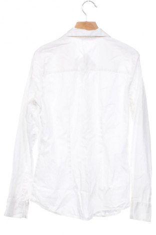 Damenbluse Camaieu, Größe XS, Farbe Weiß, Preis 23,81 €
